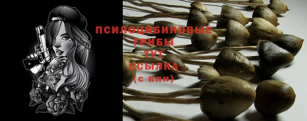 кокс Арсеньев