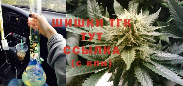 стафф Аркадак