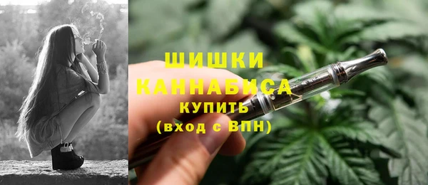 стафф Аркадак