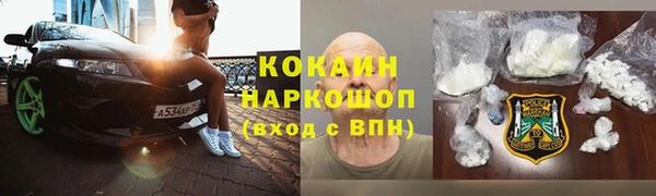 кокс Арсеньев
