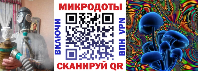 Галлюциногенные грибы Cubensis  купить наркотики цена  ссылка на мегу ссылки  shop как зайти  Славянск-на-Кубани 